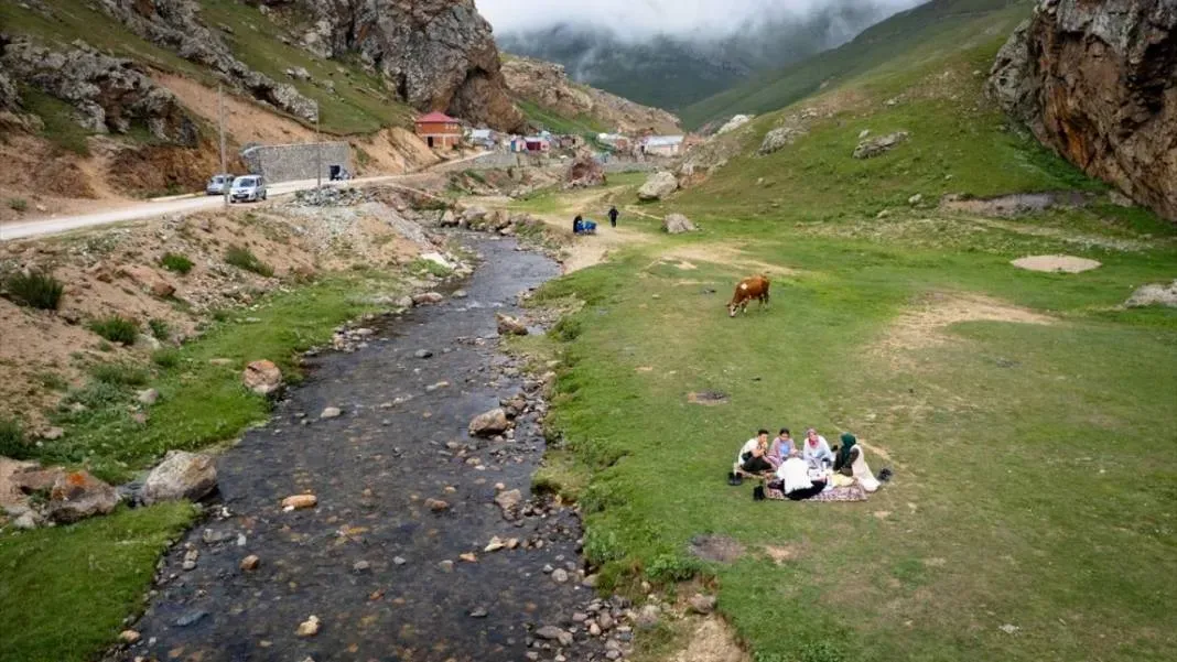 Gümüşhane Taşköprü Yaylası'nda Çevre Müfettişi Oldular