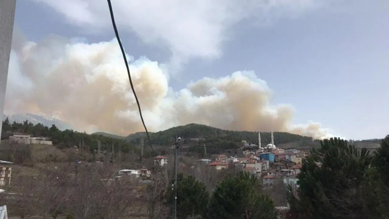 Bursa Orman Yangınları: Son Durum ve Gözaltı Açıklamaları
