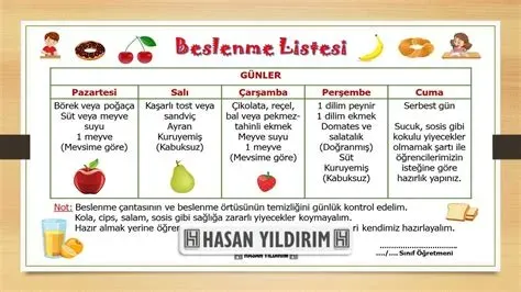 Yaşam ve Zindelik İçin Günlük Beslenme Planı ile Enerji