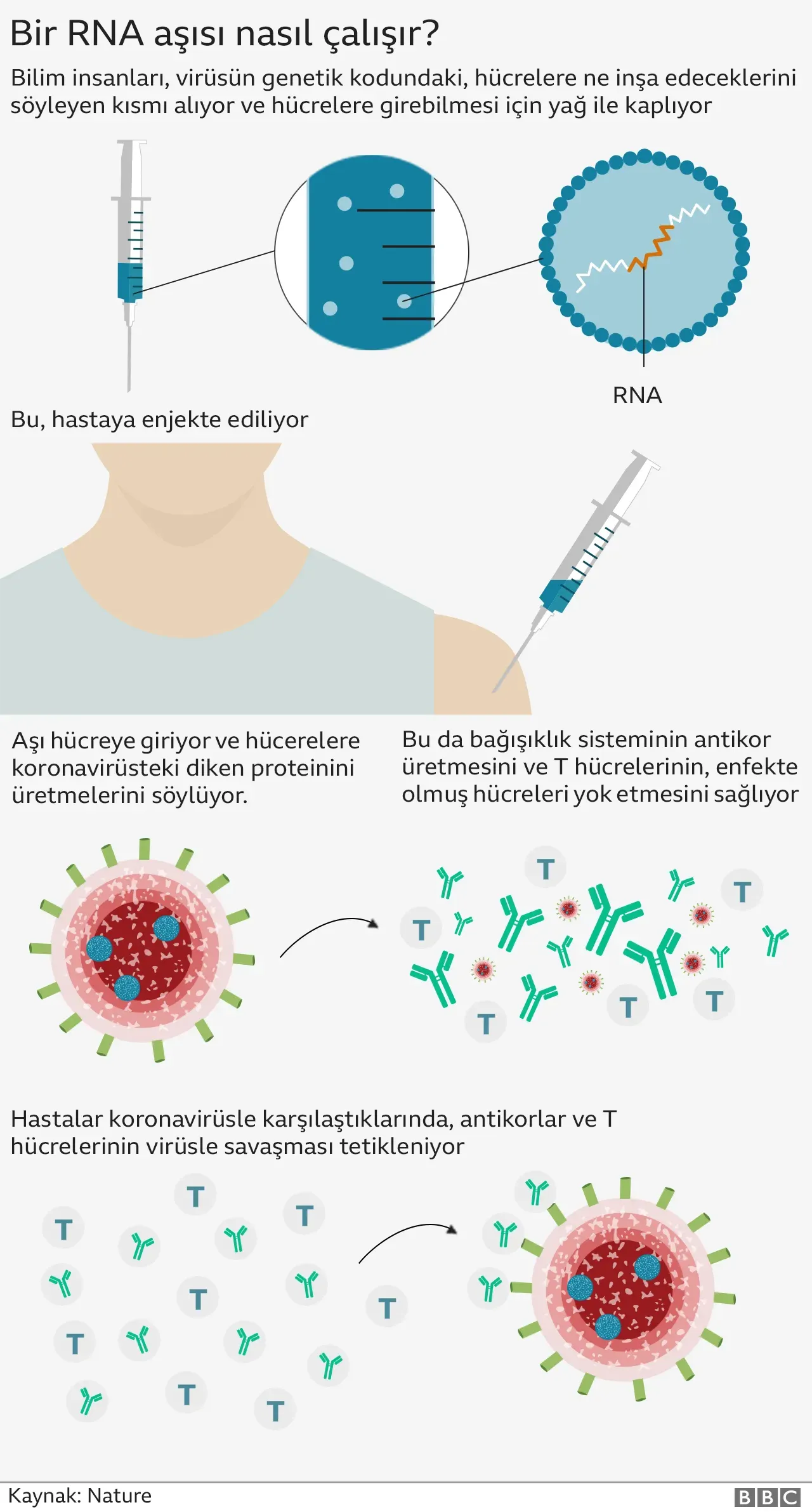 Covid-19 Aşısı Kalp Krizini Artırdı mı? Uzman Cevaplıyor