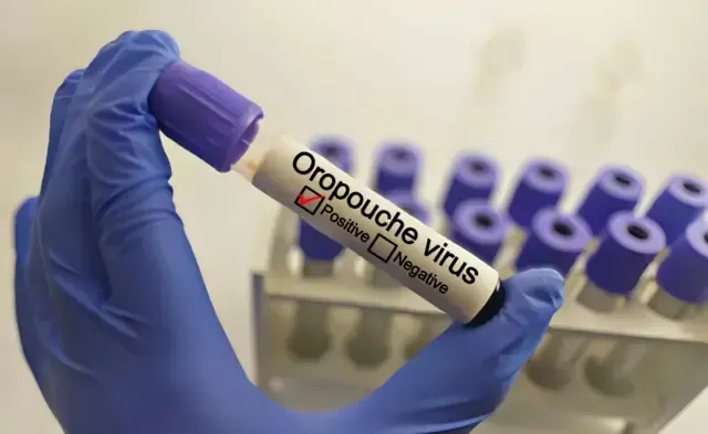 Oropouche Virüsü: Belirtileri ve Tehlikeleri Nedir?