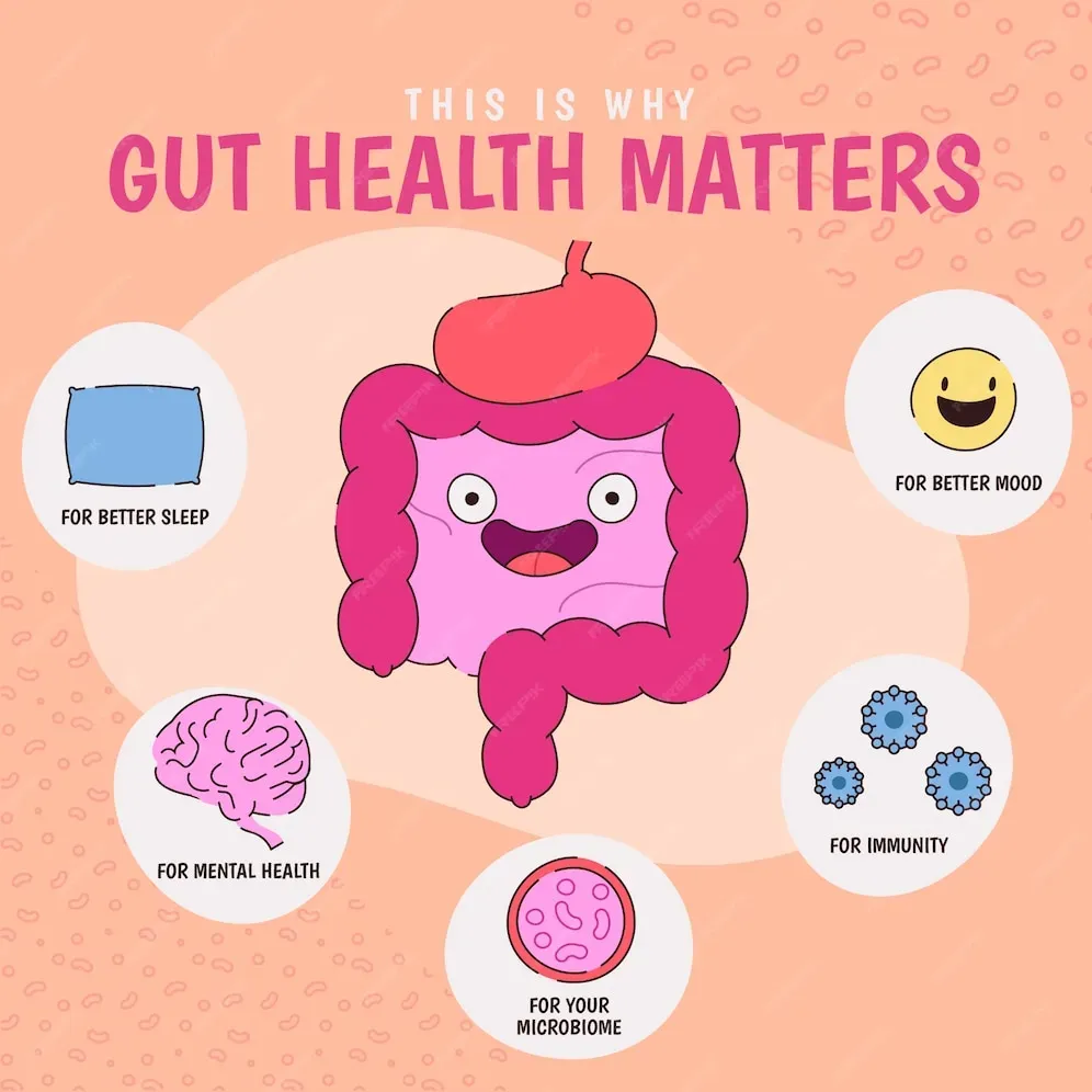 Gut Health: How Your Digestive System Shapes Wellness