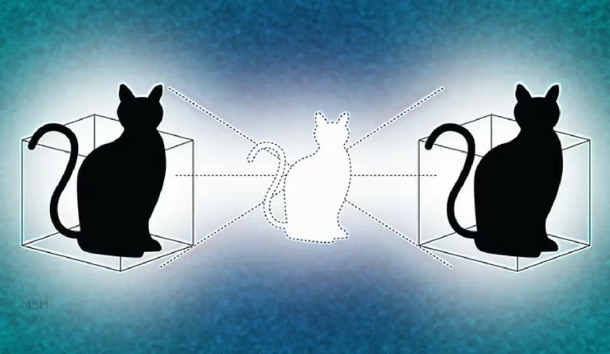 1 Epic Quantum Leap: Schrodinger's Cat Gets Stranger