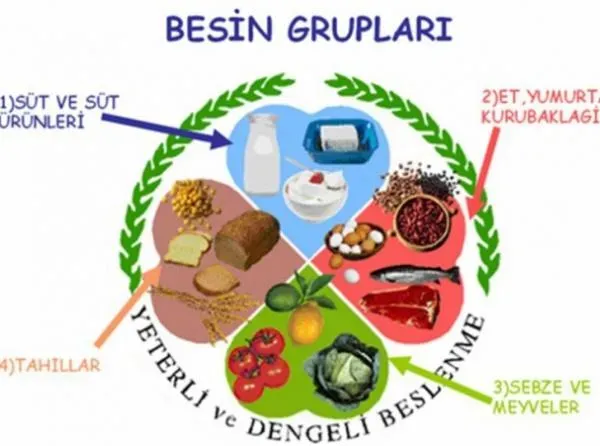 Saglik Icin Besin Gruplari: Günlük Menünüzü Dengelemek