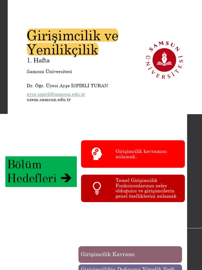 Girişimcilik ve Yenilikçilik: İnovasyonu İş Modeline Entegre