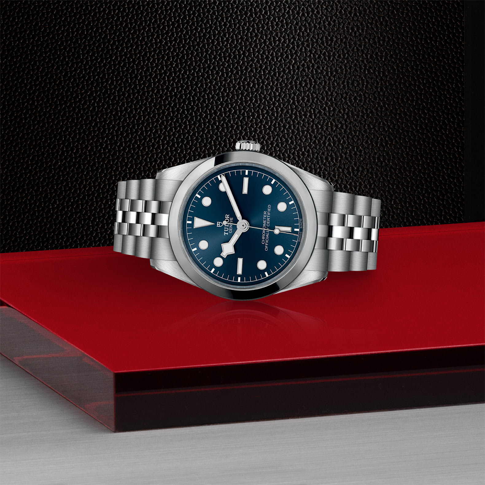 Tudor Black Bay ve Pelagos: Kapsamlı Seçim Rehberi