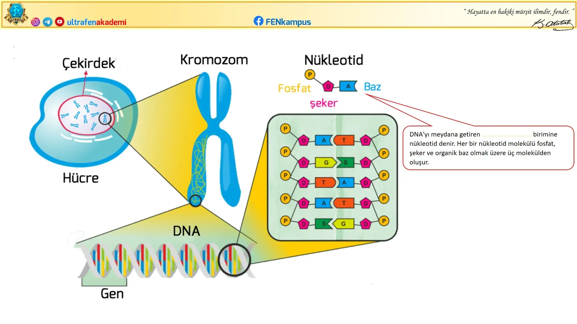 DNA Hayalet Kodu: Bilimde Çığır Açacak Gelişmeler
