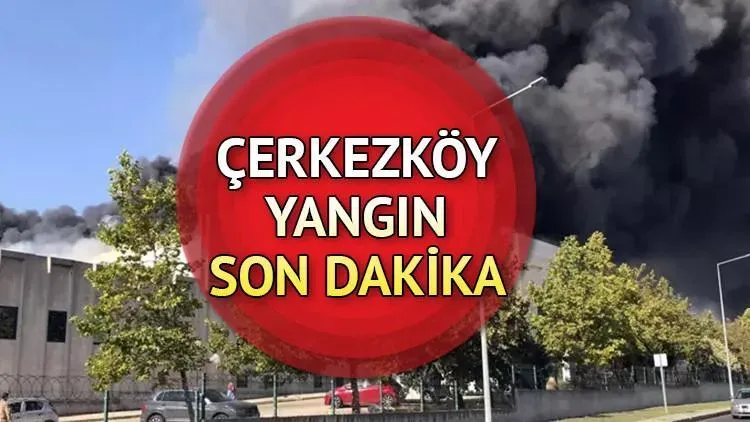 Son Dakika Nedir: En Son Olaylar ve Doğrulanmış Bilgiler