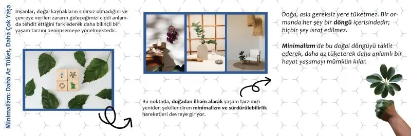 Sürdürülebilirlik için basit adımlar: Günlük yaşam ipuçları