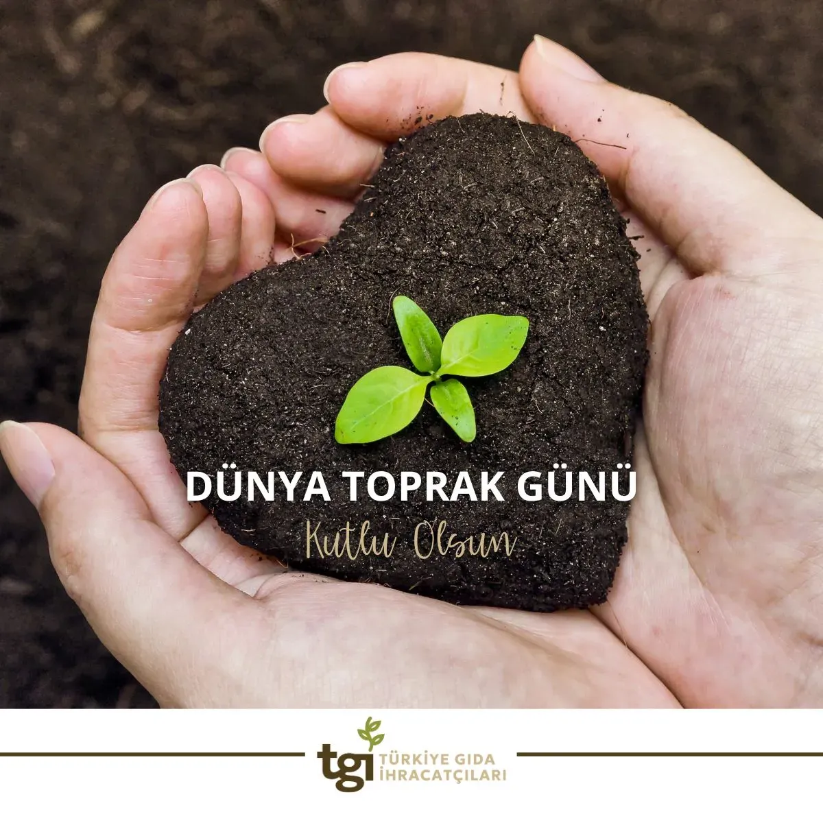 Dünya tarımı ve gıda güvencesi: Güncel zorluklar ve çözümler